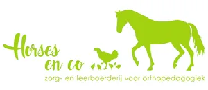 Logo B.V. Horses & Co